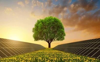 El impacto positivo de la energía solar sobre el medioambiente 🌍