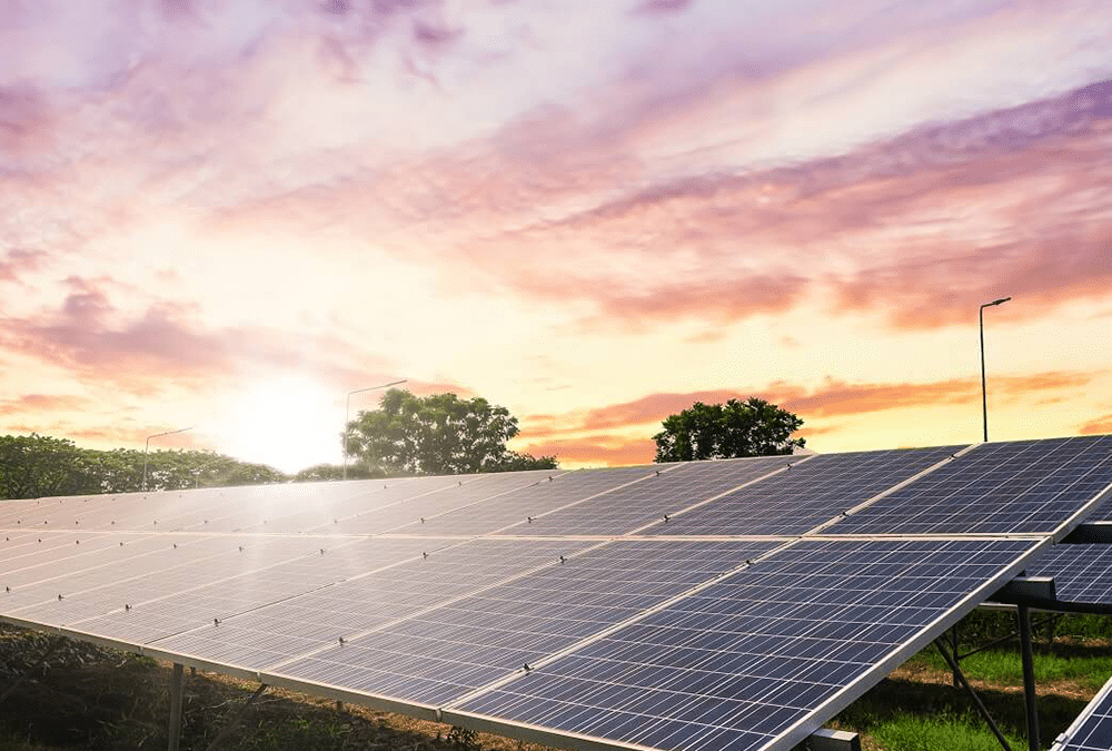 ¿Qué es la energía agrovoltaica y cómo funciona?